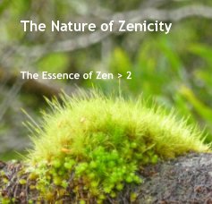 The Nature of Zenicity book cover