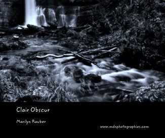 Clair Obscur book cover