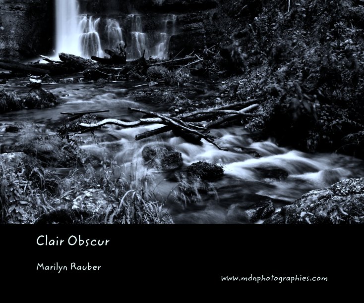 View Clair Obscur by Marilyn Rauber                                  (Switzerland)