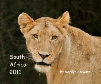 South Africa 2011 book cover
