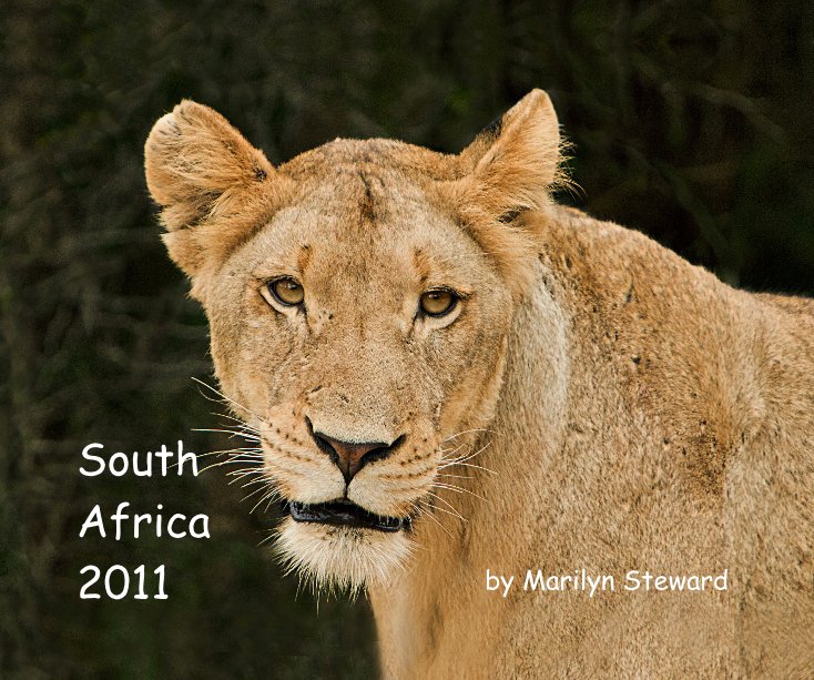Ver South Africa 2011 por Marilyn Steward