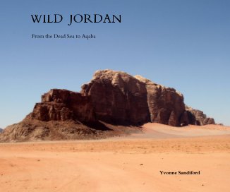 WILD JORDAN book cover