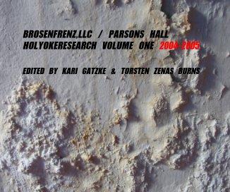 BROSENFRENZ,LLC / PARSONS HALL / HOLYOKERESEARCH VOLUME ONE 2004-2005 book cover