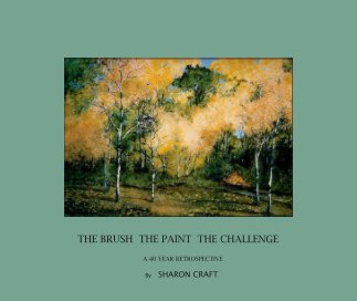 THE BRUSH  THE PAINT  THE CHALLENGE book cover