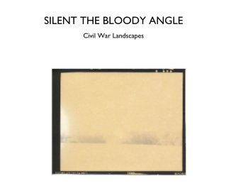 SILENT THE BLOODY ANGLE book cover