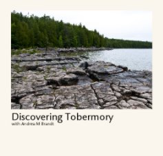Discovering Tobermory book cover