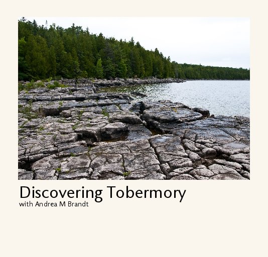 View Discovering Tobermory by Andrea M Brandt