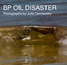 BP OIL DISASTER book cover