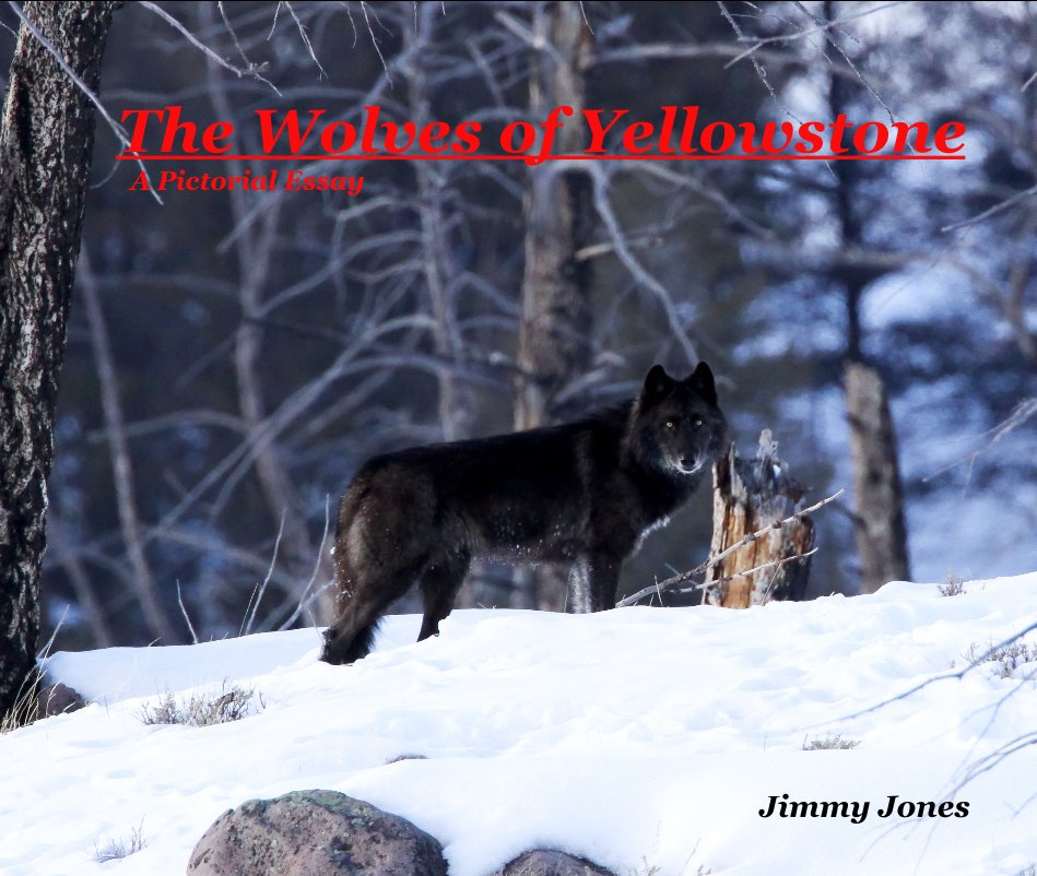 View The Wolves of Yellowstone (13 x 11) by Jimmy Jones