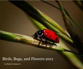 Birds, Bugs, and Flowers 2011 book cover
