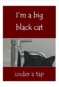 Im a Big Black Cat Under a Tap book cover