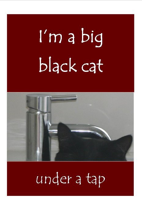 View Im a Big Black Cat Under a Tap by blot