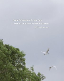 From Mountain to the Sea book cover