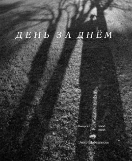 ДЕНЬ ЗА ДНЁМ book cover