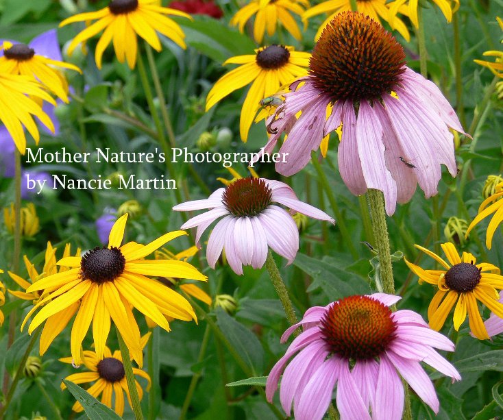 Ver Mother Nature's Photographer by Nancie Martin ( DeMellia ) por Nancie Martin DeMellia
