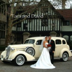 Tara and David book cover