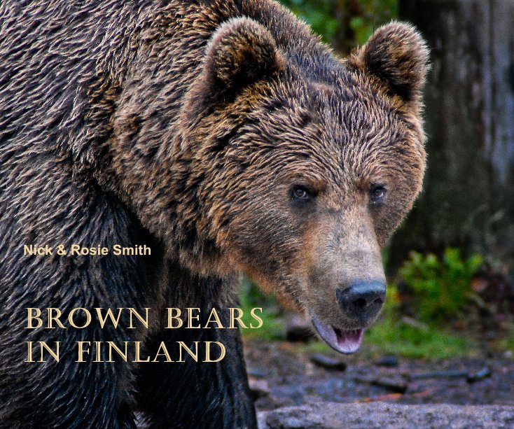 View Brown Bears in Finland by Nick & Rosie Smith