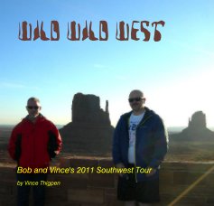 Wild Wild West book cover