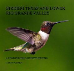 BIRDING TEXAS AND LOWER RIO GRANDE VALLEY book cover