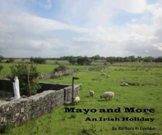 Mayo and More book cover