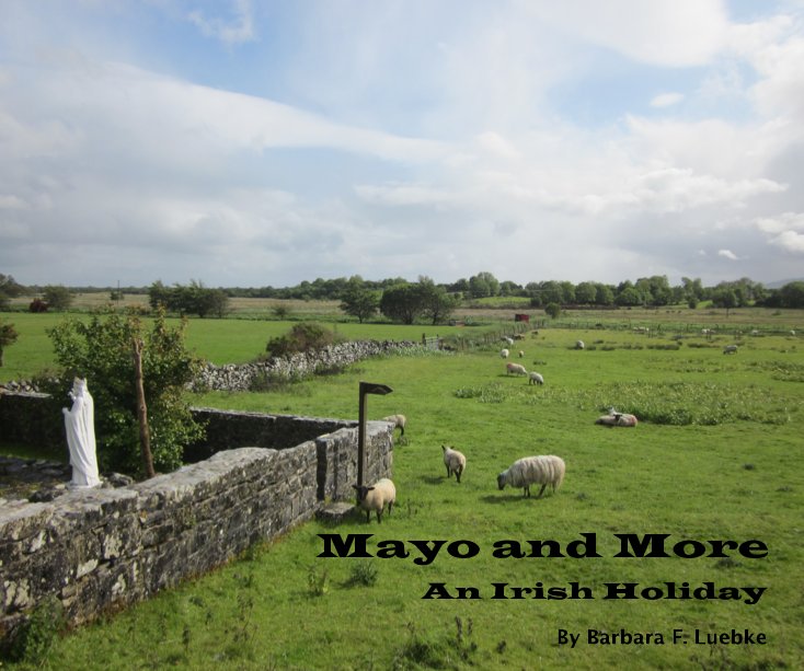 View Mayo and More by Barbara F. Luebke