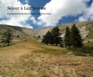 Séjour à Lambruisse book cover