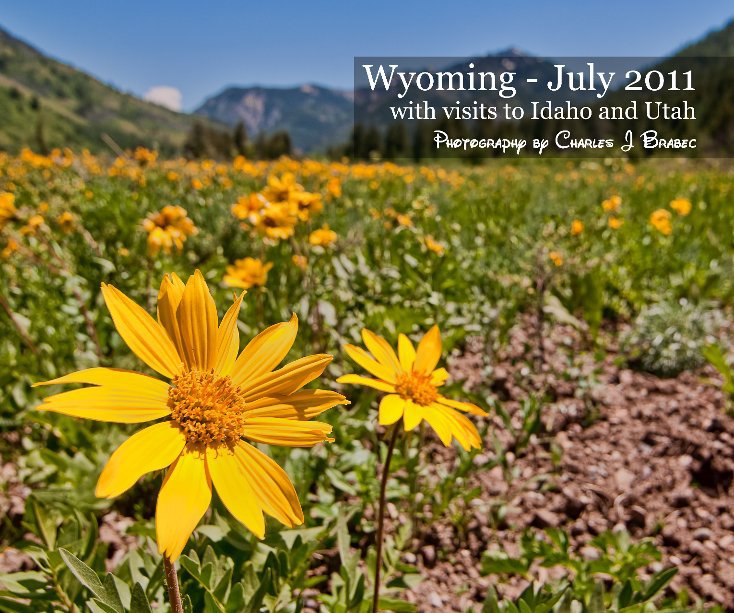 View Wyoming - July 2011 by Charles J Brabec