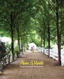 Alvaro & Mariela book cover