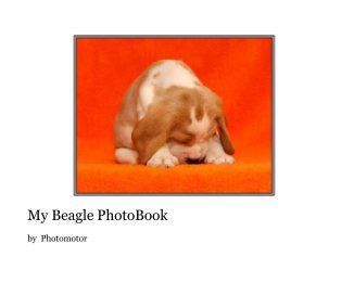 My Beagle PhotoBook book cover
