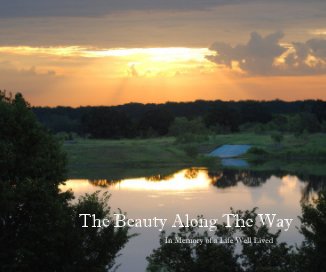 The Beauty Along The Way (print version) book cover