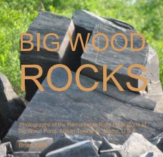 BIG WOOD ROCKS book cover