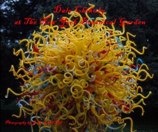 Dale Chihuly at The New York Botanical Garden book cover