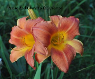 Praise And Glory To the Creator book cover