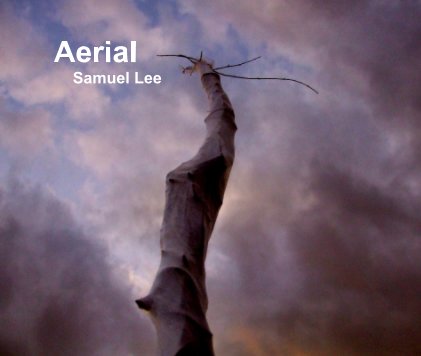 Aerial book cover
