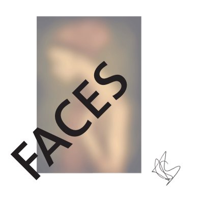 Faces 2011 book cover