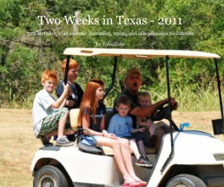 Two Weeks in Texas - 2011 book cover