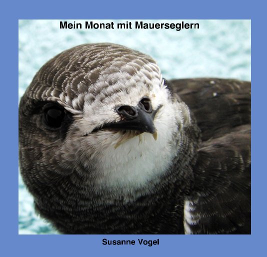 View Mein Monat mit Mauerseglern by Susanne Vogel