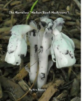 The Marvelous "Medium Sized-Mushrooms"! book cover