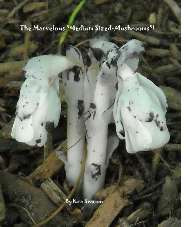 Bekijk The Marvelous "Medium Sized-Mushrooms"! op Kira Seamon