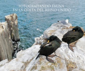 FOTOGRAFIANDO FAUNA EN LA COSTA DEL REINO UNIDO book cover