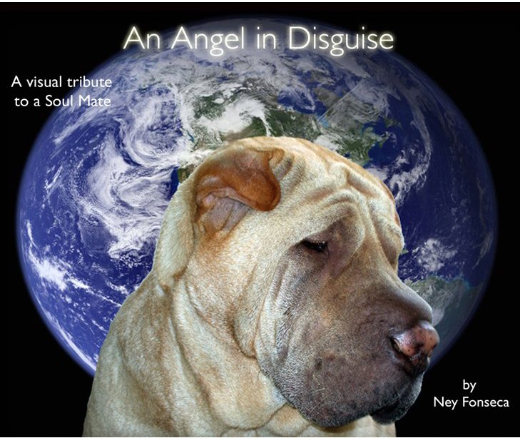 View An Angel in Disguise by Ney Fonseca