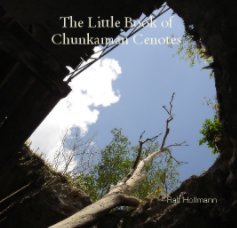 The Little Book of
Chunkanaan Cenotes book cover