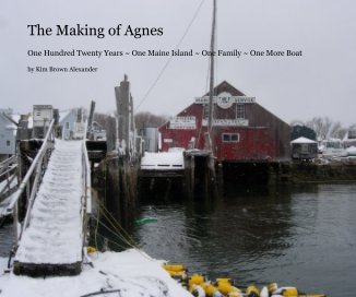 The Making of Agnes book cover
