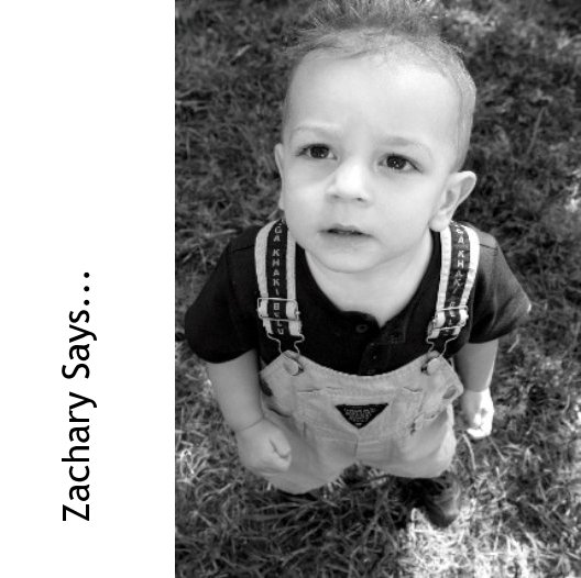 Visualizza Zachary Says... di Zachary Mason Goldenberg - and mommy too