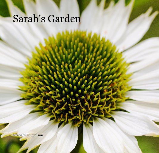 View Sarah's Garden by Graham Hutchison