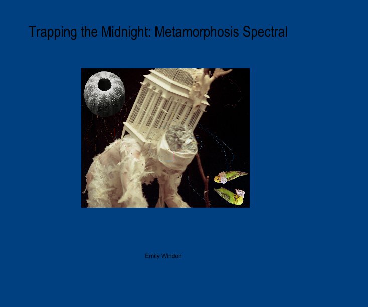 Trapping the Midnight: Metamorphosis Spectral nach Emily Windon anzeigen