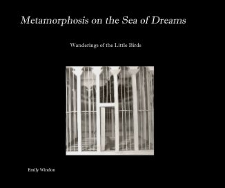 Metamorphosis on the Sea of Dreams book cover