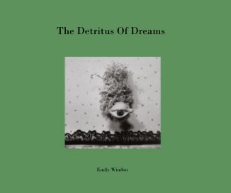 The Detritus Of Dreams book cover