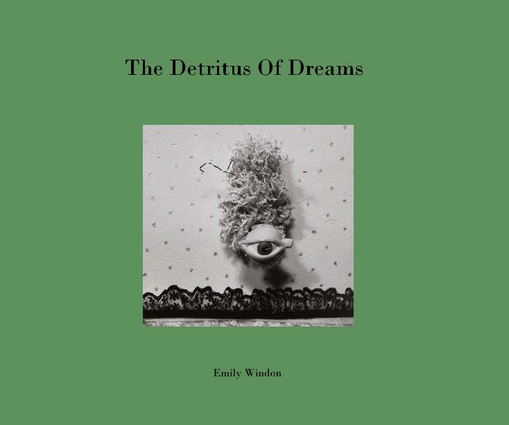 View The Detritus Of Dreams by Emily Windon