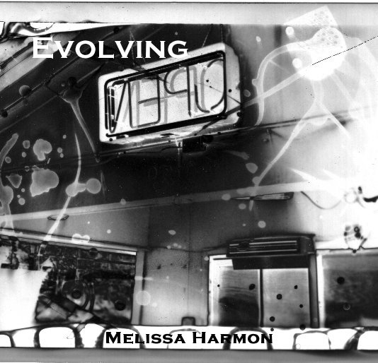 View Evolving by Melissa Harmon